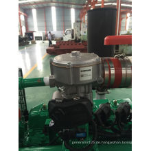 Horizontaler Kühlwassertank für Jichai / Shengdong Motor